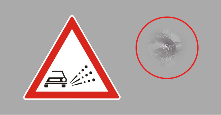 Szélvédőjavítás